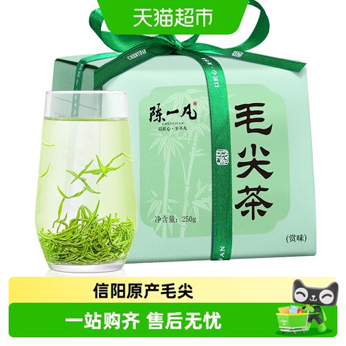陈一凡明前特级信阳毛尖栗香鲜爽
