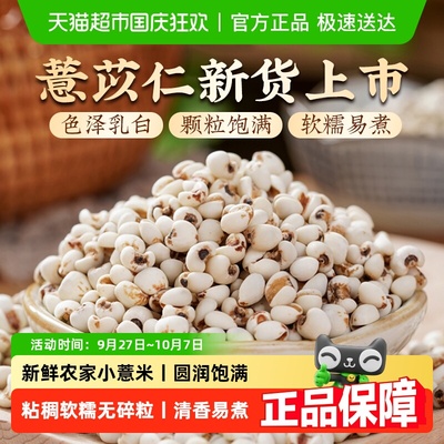 薏苡仁新货滋补脾胃