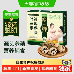 猫超臻选叶黄素鲜鹌鹑蛋50枚神丹火锅伴侣宝宝蛋源头直发