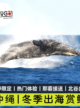 Easygo日本旅游冲绳出海赏鲸体验冬季观鲸北谷出发那霸市酒店接送