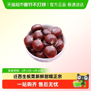 迁西生板栗新鲜甜糯正宗带皮野生小板栗生栗子小油栗大毛栗