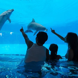 [横琴湾水世界-大门票]横琴湾水世界大门票