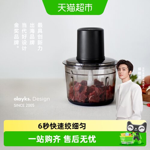 olayks小型家用绞肉机