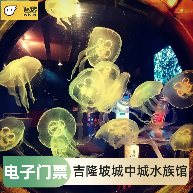 [吉隆坡城中城水族馆-大门票（分日期）][吉隆坡城中城水族馆-大门票]吉隆坡城中村水族馆电子票