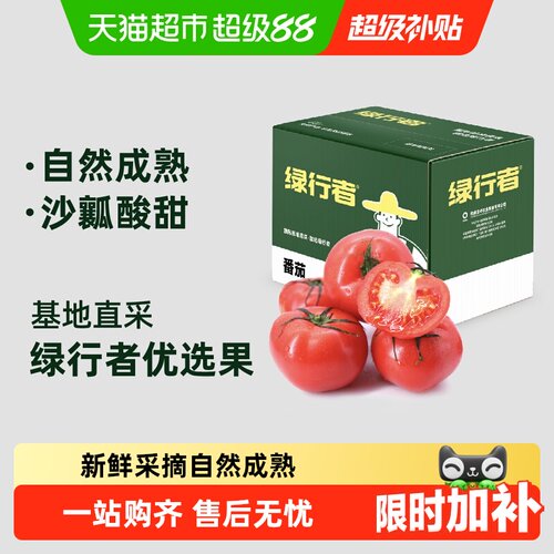 GREER绿行者沙瓤粉西红柿果香浓