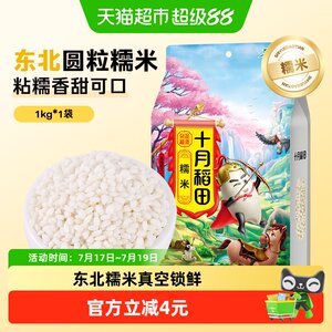 十月稻田糯米东北糯米