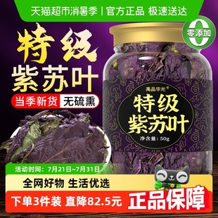 特级紫苏叶野生新鲜食用中药房材 养生茶 功效与作用泡水喝正品