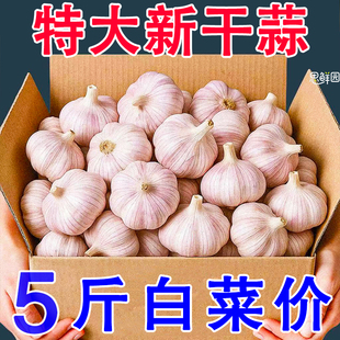 正宗山东金乡大蒜头干蒜紫皮新鲜多瓣独头大蒜头整箱农家包邮