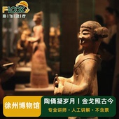 徐州博物馆不含票人文人工深度讲解2小时持证讲师 当天可订