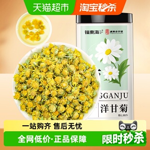 福东海洋甘菊茶花茶包新鲜菊茶花草茶野菊花干花胎菊金丝皇菊鲜花