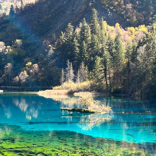 春节北京大巴九寨沟阆中古城古蜀道徒步天水麦积山石窟西安纯玩团