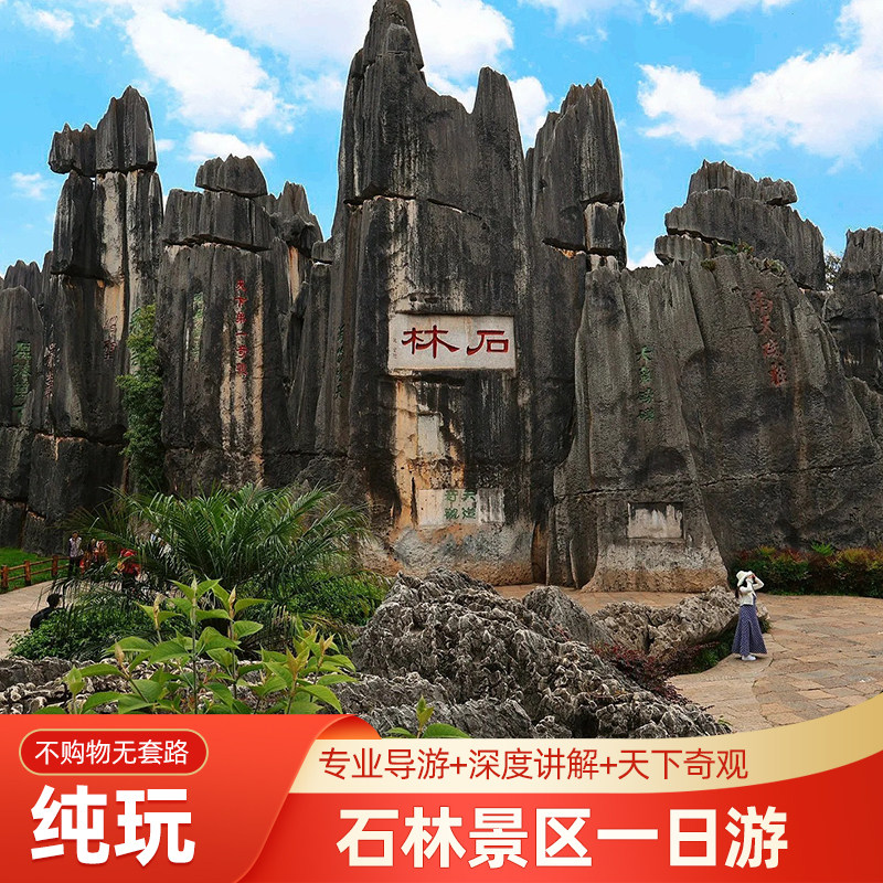 【二环内接】石林景区品质纯玩一日游+9点晚出发+口碑导游+风味餐