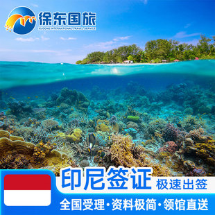印度尼西亚·旅游签证·全国送签·个人旅游旅行商务签注电子签证长期简化办理加急河南湖南代办