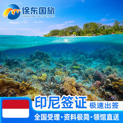 印度尼西亚·旅游签证·全国送签·个人旅游旅行商务签注电子签证长期简化办理加急河南湖南代办