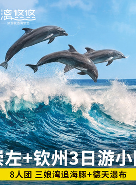 8人小团南宁崇左钦州旅游3天2晚德天明仕通灵三娘湾追海豚三日游