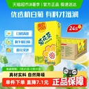 茶饮料家庭囤货 新老包装 随机发货 维他菊花茶优选杭白菊整箱装