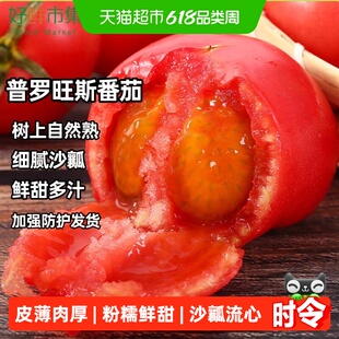 普罗旺斯西红柿沙瓤番茄自然熟番茄即食新鲜水果蔬菜现摘
