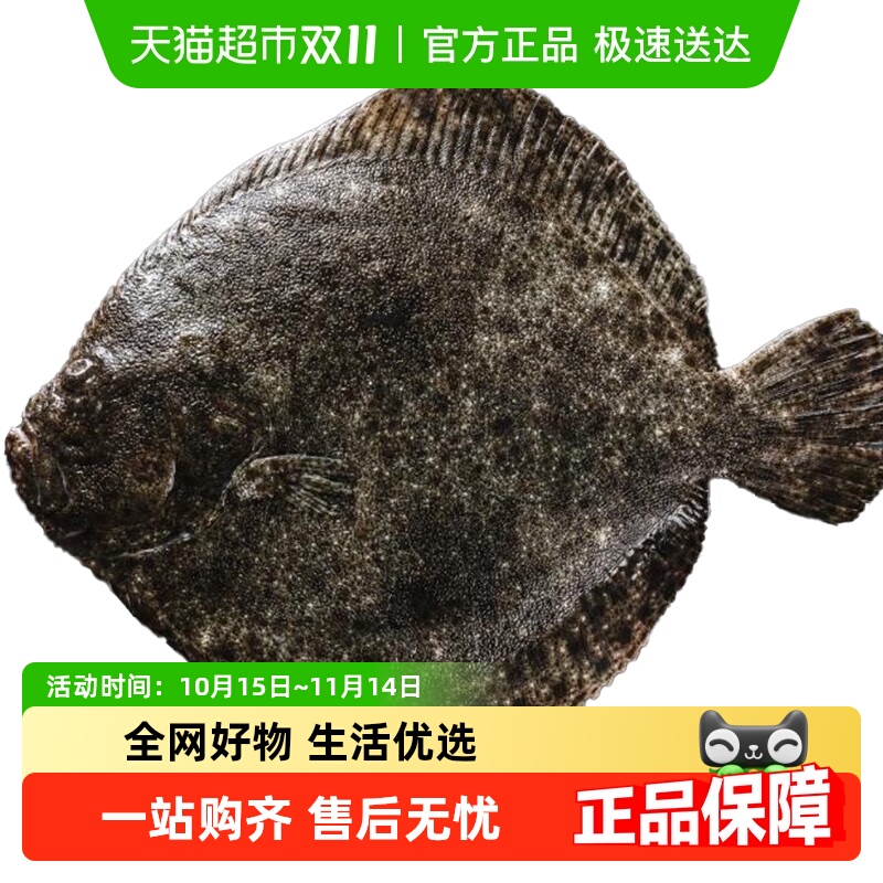 渔传播活鱼现杀三去大连多宝鱼