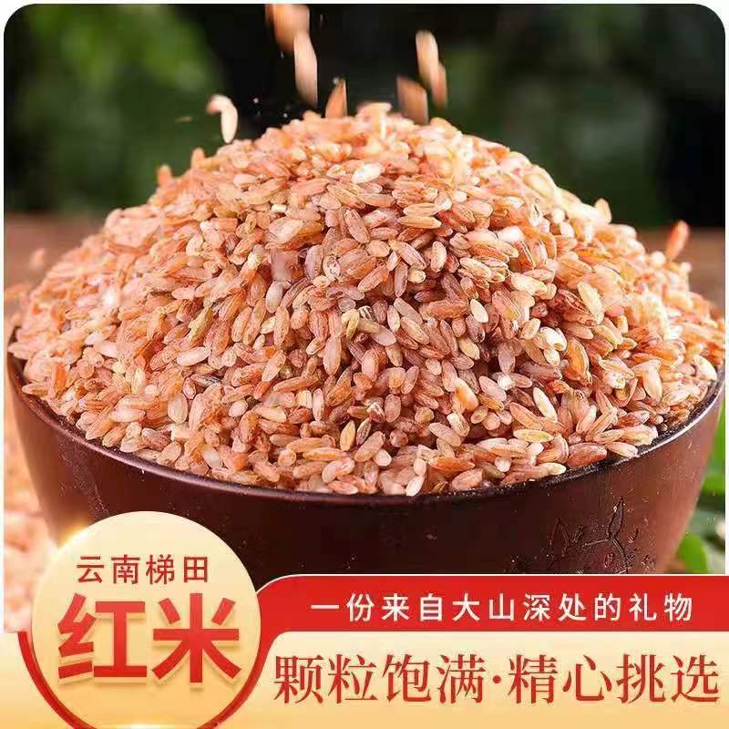 云南梯田红米新货农家自种食用大米五谷杂粮梯田红软米新米红大米
