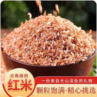 云南梯田红米新货农家自种食用大米五谷杂粮梯田红软米新米红大米