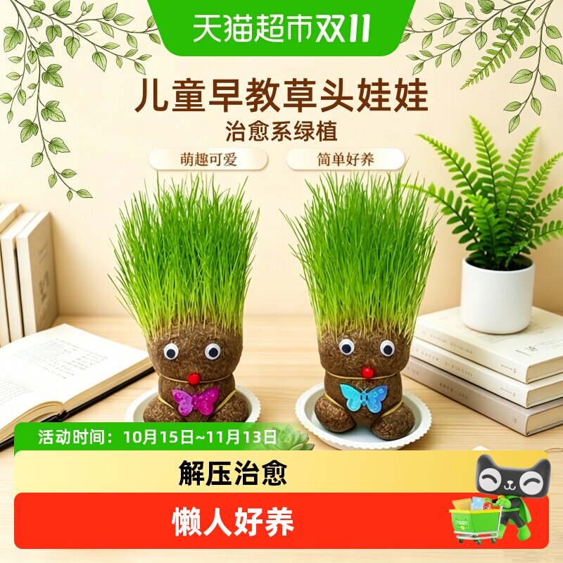 草头娃娃头上长草开花头发种植小盆栽幼儿园种草儿童观察植物生长