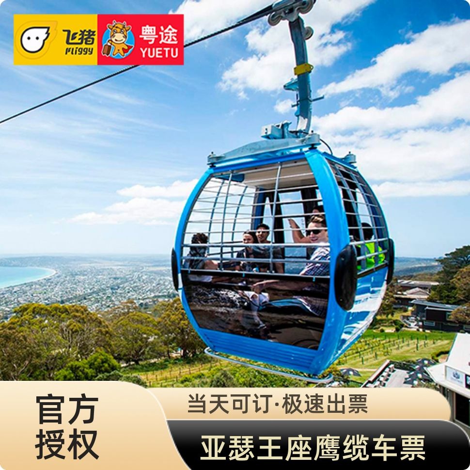 亚瑟鹰缆车往返票