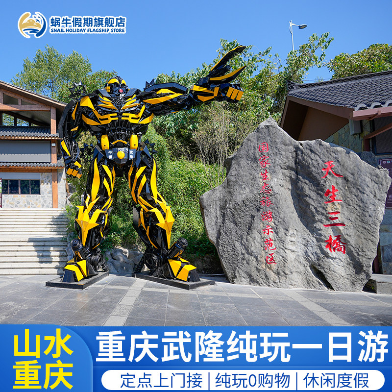 重庆武隆一日游纯玩仙女山天生三桥乌江画廊龙水峡地缝周边跟团游