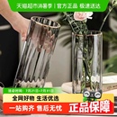 北欧风透明玻璃花瓶轻奢直筒花瓶简约水养富贵竹百合花插花瓶摆件
