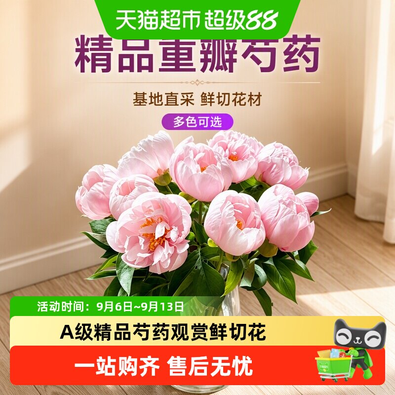 德沃多重瓣多色可选基地直采芍药图片