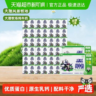 21盒 欧亚高原全脂纯牛奶200g 2箱百补专享 加量不加价