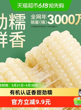 天勤粒粒净新季有机铝箔甜糯玉米新鲜玉米真空包装早餐代餐10支
