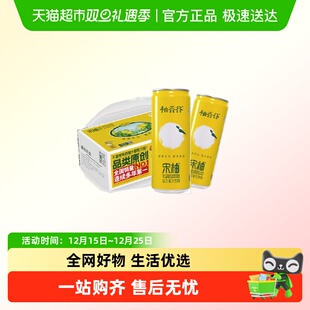 柚香谷宋柚汁果味饮料双柚汁300ml*24罐整箱果汁饮品聚会休闲出游