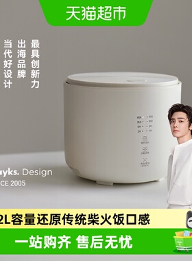 olayks立时迷你电饭煲1-2-3人家用2升小型家用电饭锅mini多用