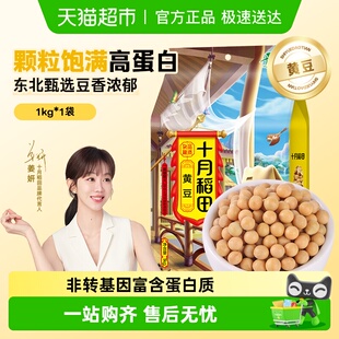 十月稻田黄豆五谷杂粮豆可发豆芽打豆浆东北豆粒大饱满