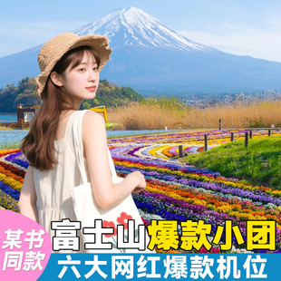 2-6人专车小团|日本东京富士山一日游河口湖罗森山中湖拼团纯玩