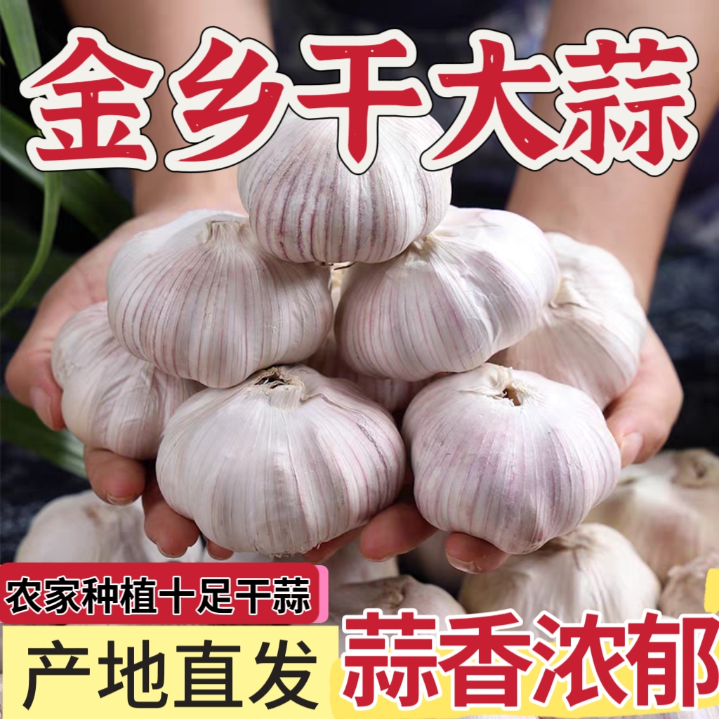 十足干蒜2025新农家干大蒜头山东金乡紫白皮可自制腊八蒜绿蒜蔬菜