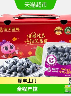 佳沃云南晚熟高山蓝莓大果礼盒装