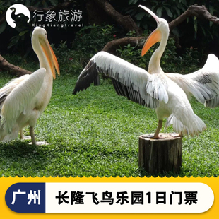 [广州长隆飞鸟乐园-1日门票]广州长隆飞鸟乐园门票