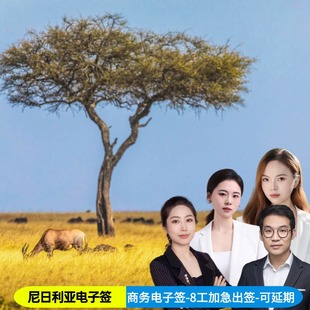 尼日利亚·商务签证·北京送签·全国受理尼日利亚商务电子签证