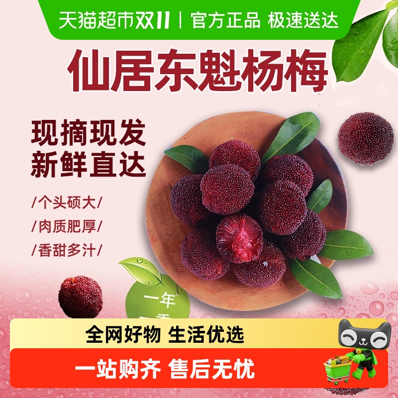 【交个朋友】仙居东魁杨梅新鲜杨梅浙江台州杨梅大果时令新鲜水果