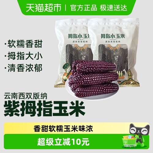 云南紫糯拇指玉米新鲜