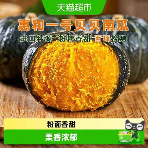 瓜憨憨贝贝板栗味小南瓜粉糯