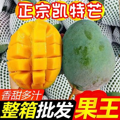 四川攀枝花青皮凯特芒果新鲜水果当季整箱特大凯特芒鲜果大芒果