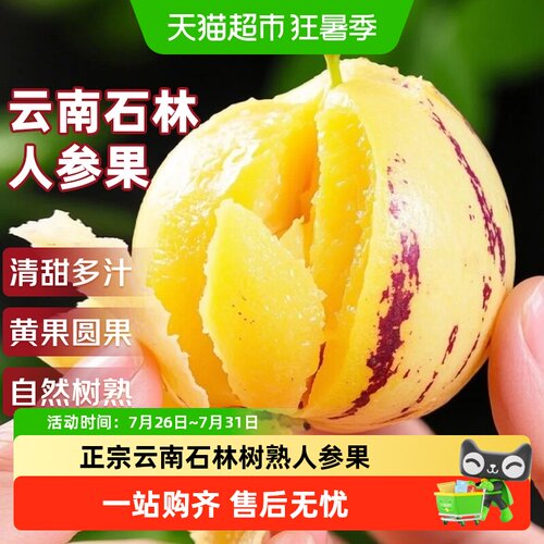 寻天果蔬云南人参果软嫩多汁