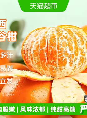 京运达广西茂谷柑
