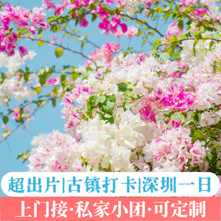 甘坑古镇+中英街+仙湖植物园+东部华侨城+大梅沙+深圳一日游