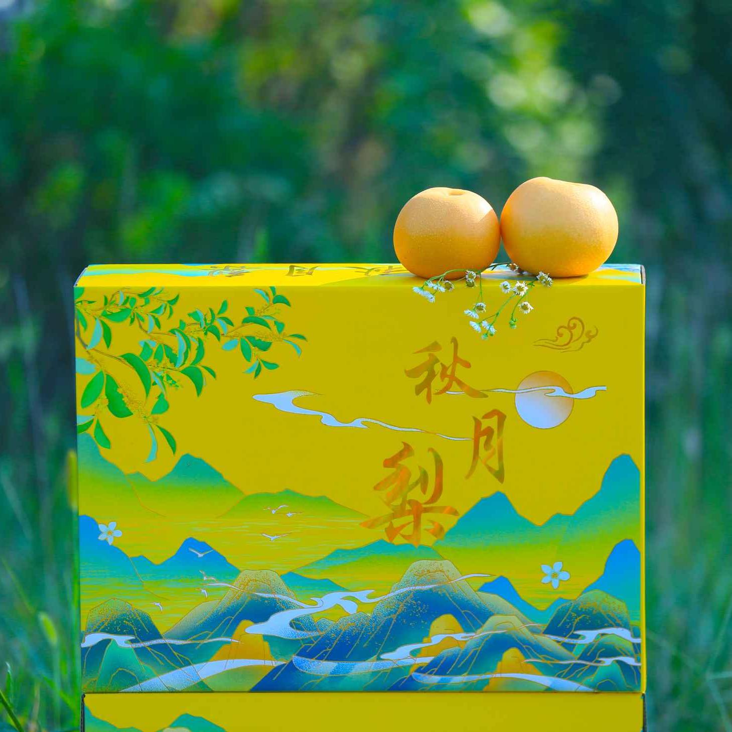 正宗山东秋月梨整箱8斤梨子脆甜现摘当季新鲜孕妇水果整箱包邮