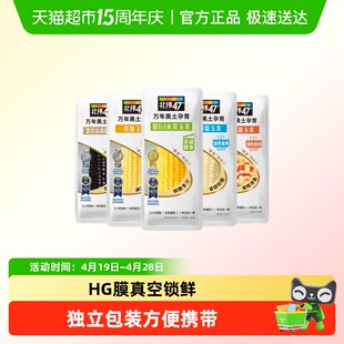 北纬47度玉米尝鲜水果玉米软糯香甜东北新鲜糯玉米