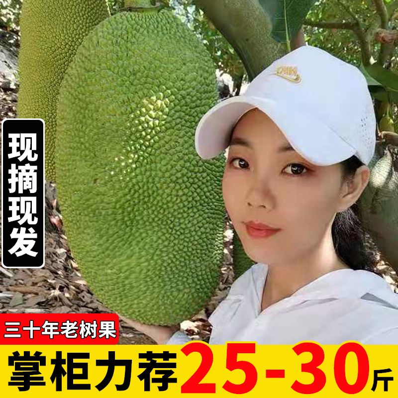 海南菠萝蜜一整个新鲜水果包邮当季现摘干苞黄肉波罗蜜脆甜整箱