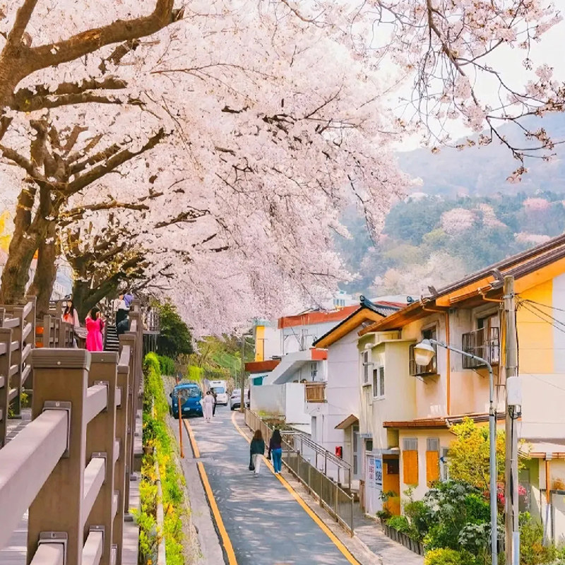韩国·单次签证·广州送签·韩国签证个人单次旅游签证